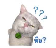 839626982