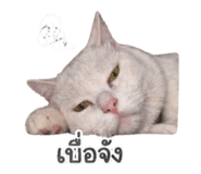 839626991