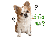 839627099