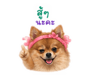 839627924