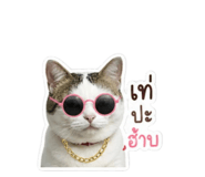839628722