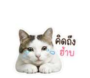 839628723