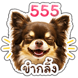 839629265