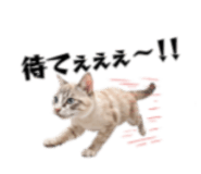 839629869