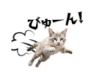 839629872