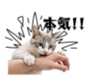 839629877