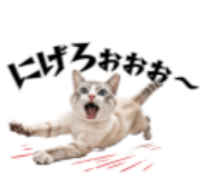 839629878