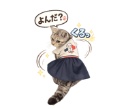 839629951