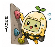 839629962