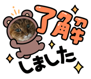 839630204