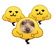 839630952