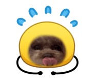 839630954