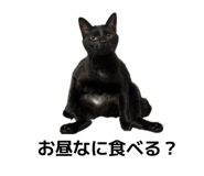 839631055