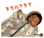 839631651