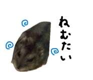 839631723
