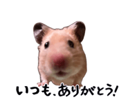 839631875