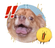 839632373