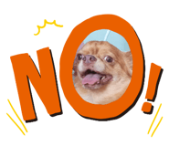 839632380