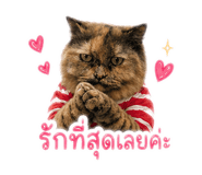 839633273