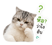 839634225