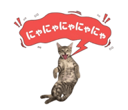 839635857