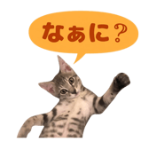 839635859