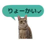 839635862