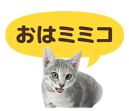 839635864