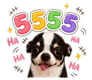 839638028