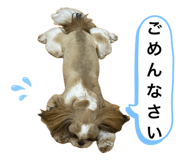 839639702