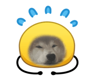 839640426