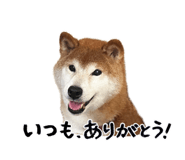 839640428