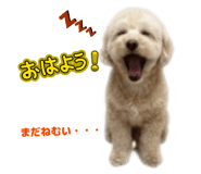 839641010