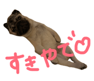 839641086