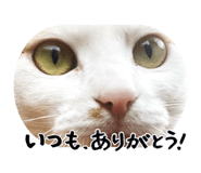 839641607