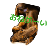 839641996