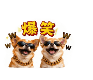839642376
