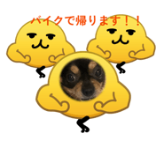 839642547