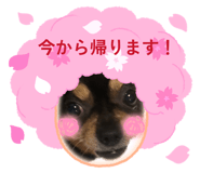 839642549