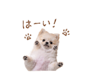 839642554