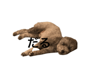 839642597