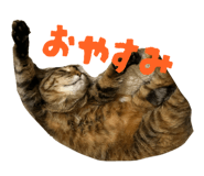 839643251