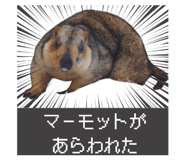 839643306