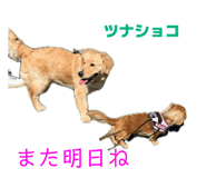 839643442