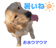 839643445