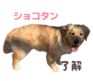 839643450