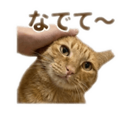 839643896