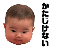 839643994