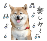 839644040