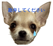 839648826